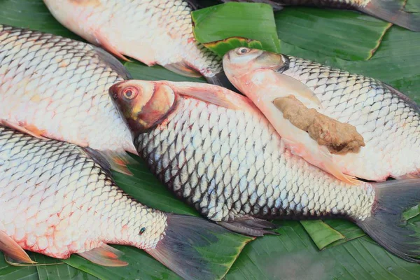 Fisk på marknaden — Stockfoto