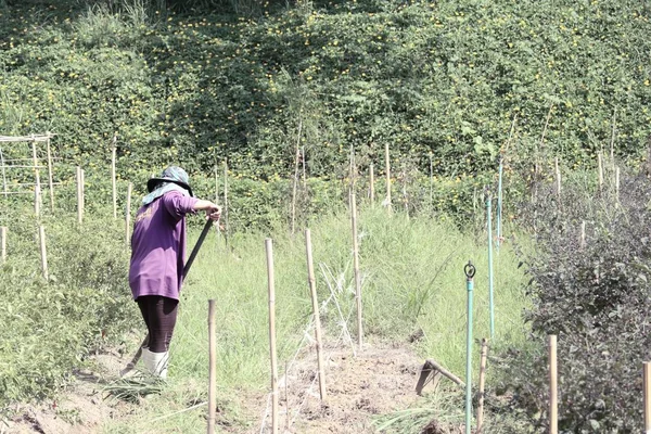 Mensen die in de tuin werken — Stockfoto