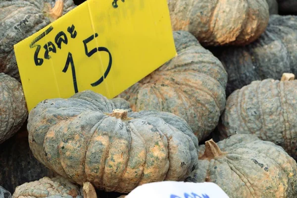 Pompoen op de markt — Stockfoto