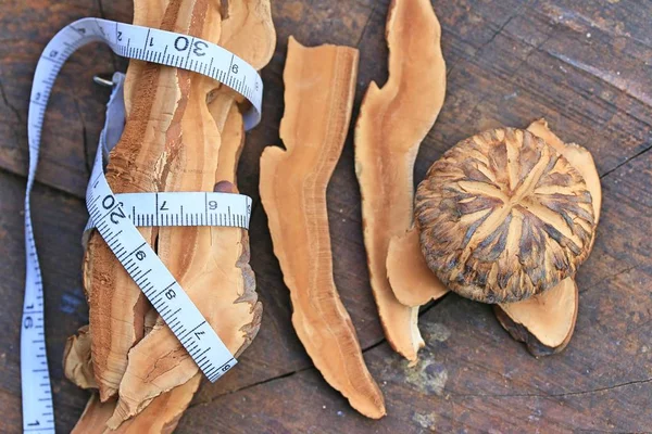 Ganoderma lucidum suszone i shiitake — Zdjęcie stockowe