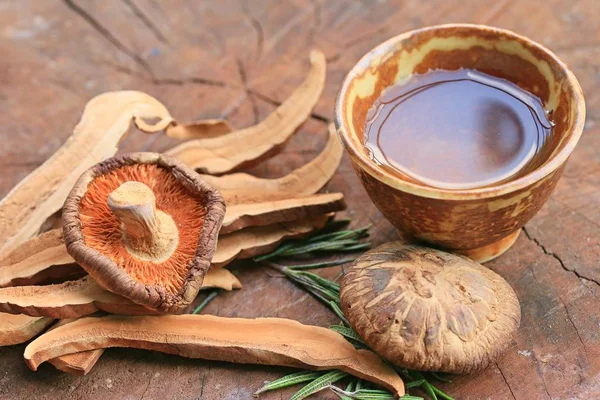 Ganoderma lucidum ζεστό τσάι — Φωτογραφία Αρχείου