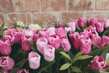 Güzel pembe yapay lale