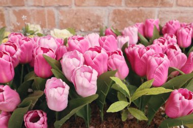 Güzel pembe yapay lale