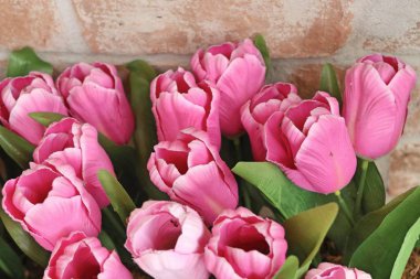 Güzel pembe yapay lale