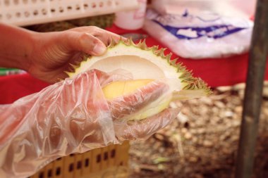 Durian piyasada