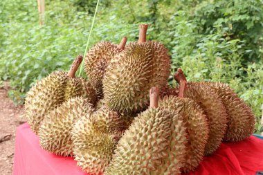 Durian piyasada