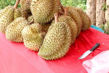 Durian piyasada