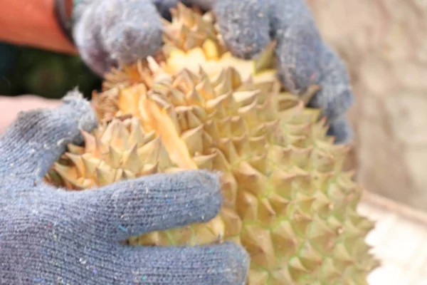 Durian en el mercado —  Fotos de Stock