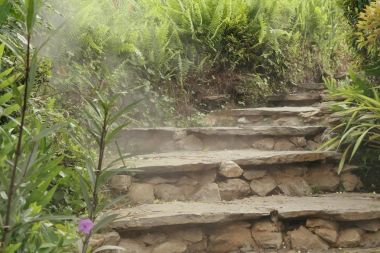 Bahçedeki merdivenler.