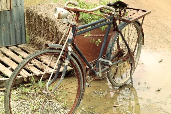 在公园里的老式自行车 — 图库照片