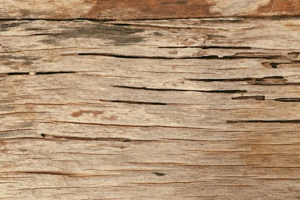 木材の背景ビンテージ テクスチャ — ストック写真