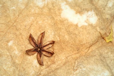 Çimento zemin arka plan vintage