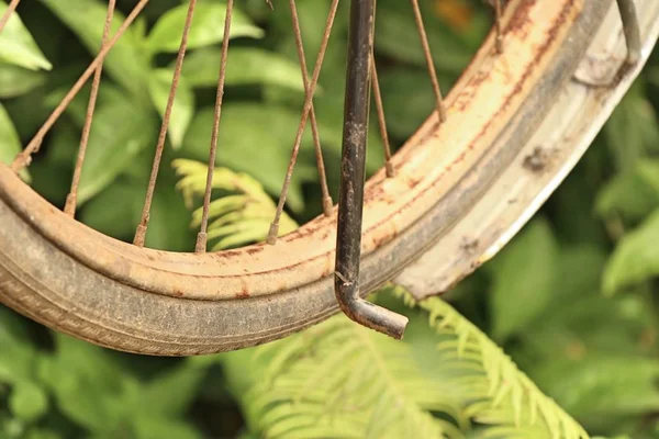 Biciclette vintage sul parco — Foto Stock