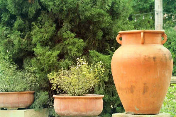 Vazen in de tuin — Stockfoto