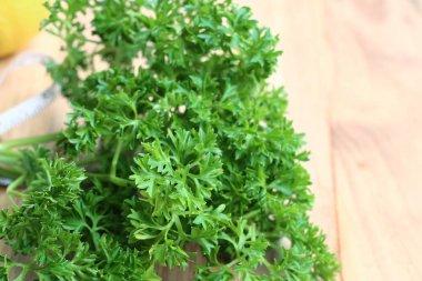 taze yaprak maydanoz