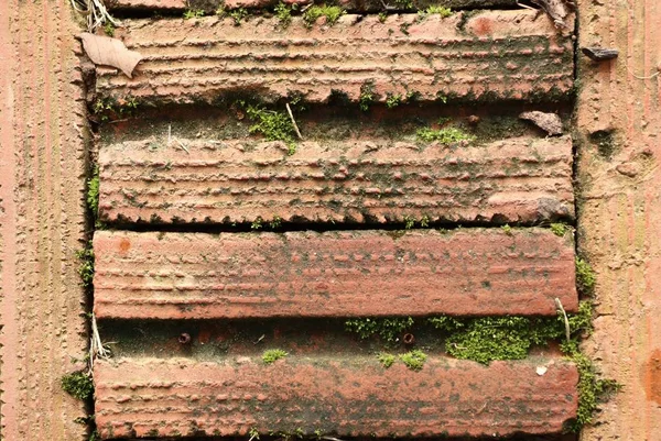 绿色苔藓砖背景 — 图库照片