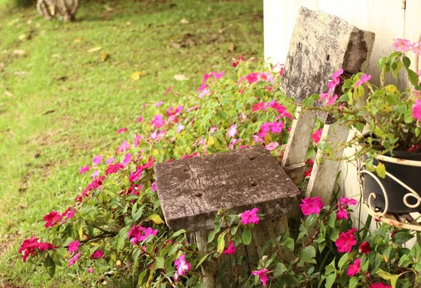 Sedia da giardino in giardino — Foto Stock