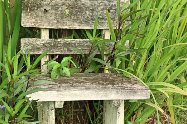 Krzesło ogrodowe w ogrodzie — Zdjęcie stockowe