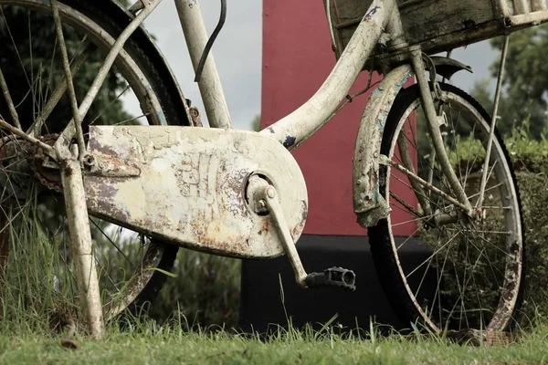 Oldtimer-Fahrräder in der Natur — Stockfoto