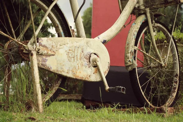 Vintage fietsen in de natuur — Stockfoto