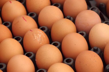 Pazardaki yumurtalar.