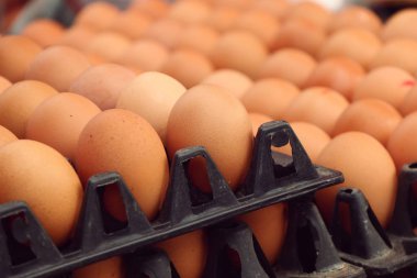 Pazardaki yumurtalar.