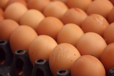 Pazardaki yumurtalar.