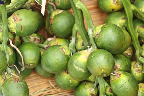 Betel nuez en el mercado — Foto de Stock