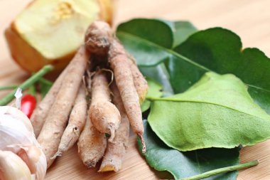 Baharatlı çorba - bitkisel maddeler Tayland gıda