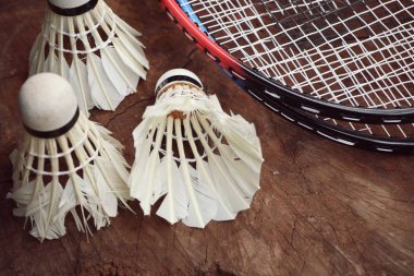 Shuttlecocks badminton raket ile