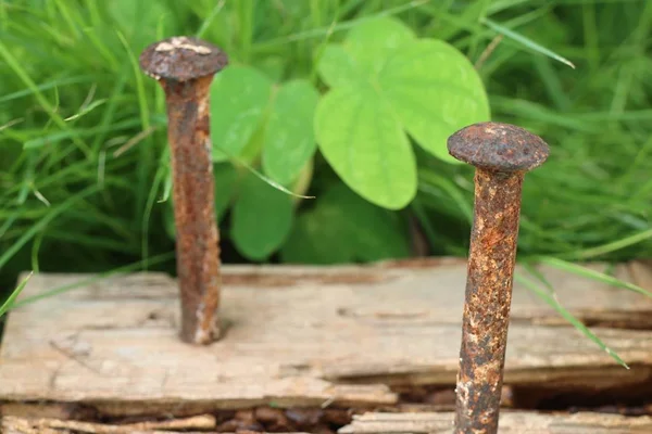 Velhas tachas de ferrugem na natureza — Fotografia de Stock