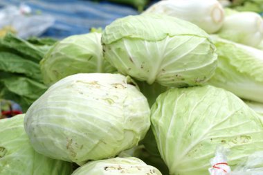 Markette taze lahana