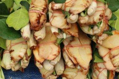 Havlıcan, kaffirkrap, Güney Afrika'da bir kabile kireç yaprakları Market