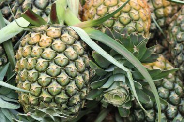 ananas Pazar sokağında