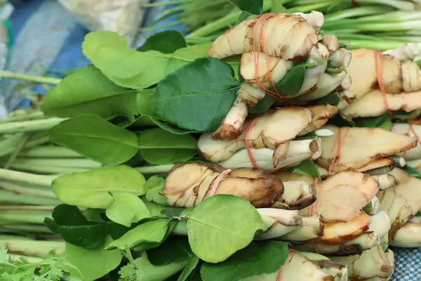 Havlıcan, kaffirkrap, Güney Afrika'da bir kabile kireç yaprakları Market