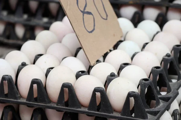 Белые яйца на улице — стоковое фото