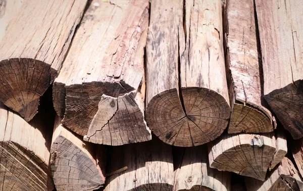 Heap timber in park — Stock Photo, Image