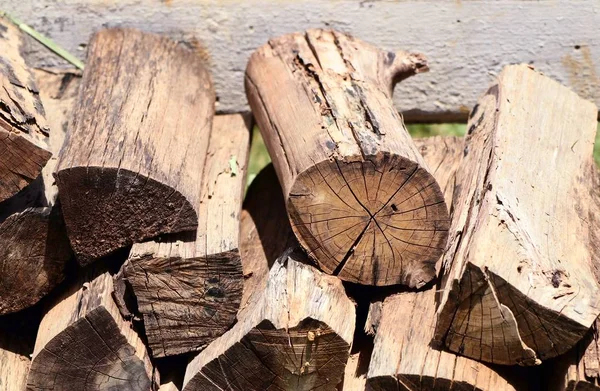 Heap timber in park — Stock Photo, Image