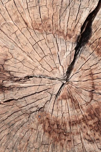 木材の背景ビンテージ テクスチャ — ストック写真