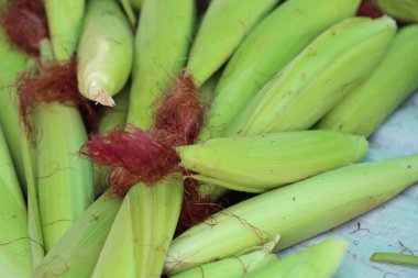 Market genç Mısır