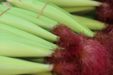 Market genç Mısır