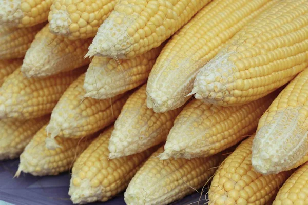 Fresh corn at market — Stock Photo, Image