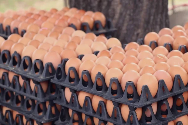 Eggs at the market