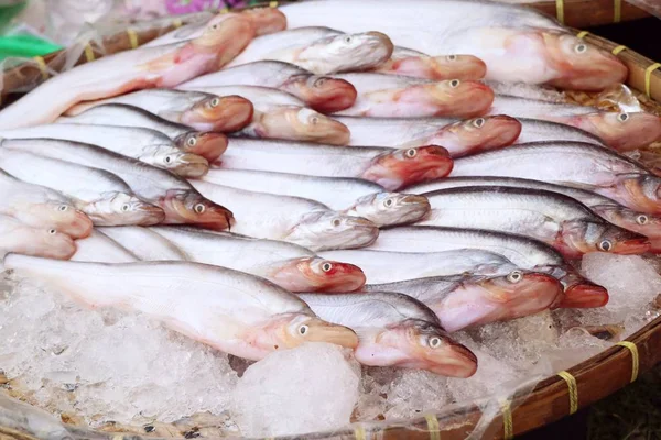 Estrada de rua peixe fresco — Fotografia de Stock