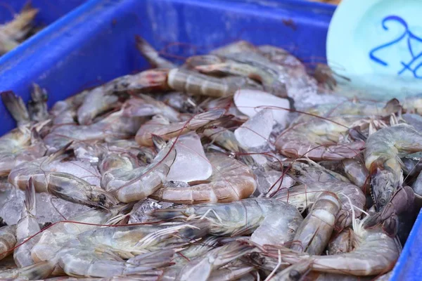 Crevettes fraîches au marché — Photo