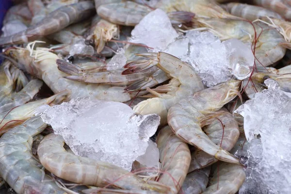 Camarão fresco no mercado — Fotografia de Stock