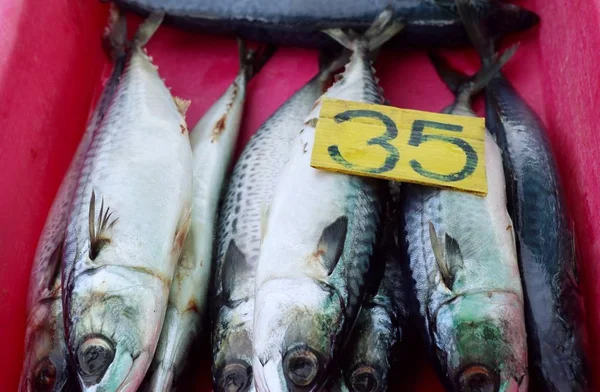 市場で獲れた新鮮な魚は — ストック写真