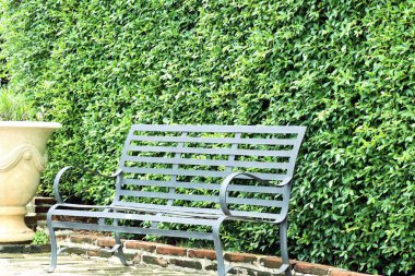 Bahçedeki sandalyeler