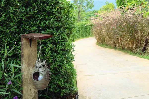 La passeggiata nel parco — Foto Stock