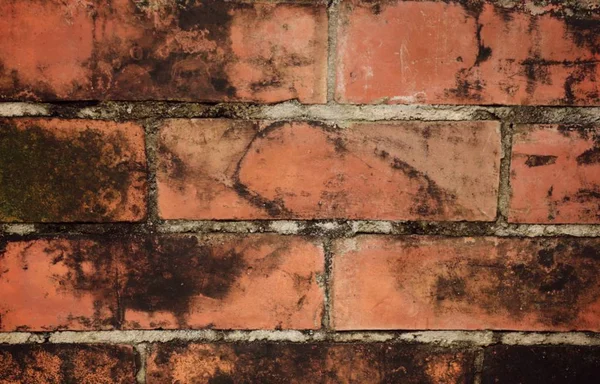 Fondo de pared de ladrillo marrón — Foto de Stock